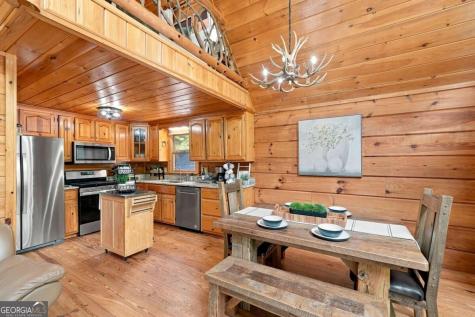 405 Donna Lee Lane Mineral Bluff GA 30559