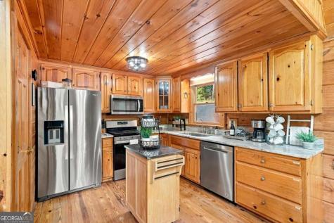 405 Donna Lee Lane Mineral Bluff GA 30559