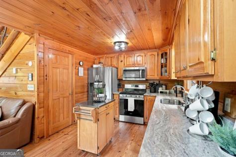 405 Donna Lee Lane Mineral Bluff GA 30559