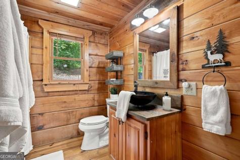 405 Donna Lee Lane Mineral Bluff GA 30559