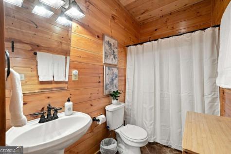 405 Donna Lee Lane Mineral Bluff GA 30559