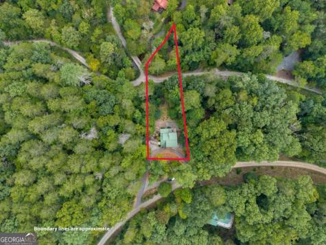 405 Donna Lee Lane Mineral Bluff GA 30559