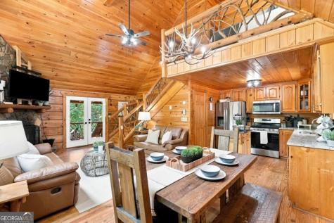 405 Donna Lee Lane Mineral Bluff GA 30559