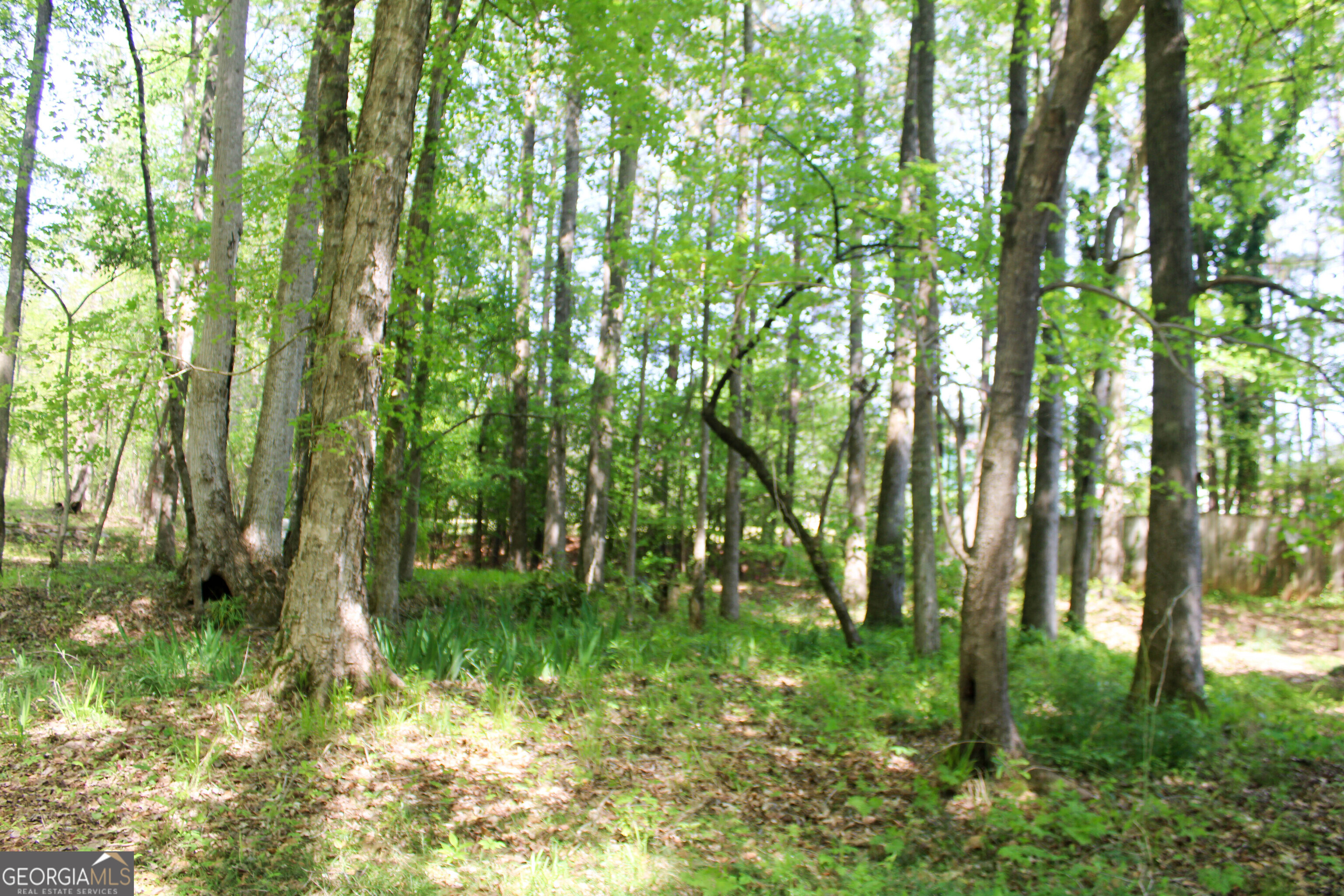 895 Waterview Drive Lagrange GA 30240