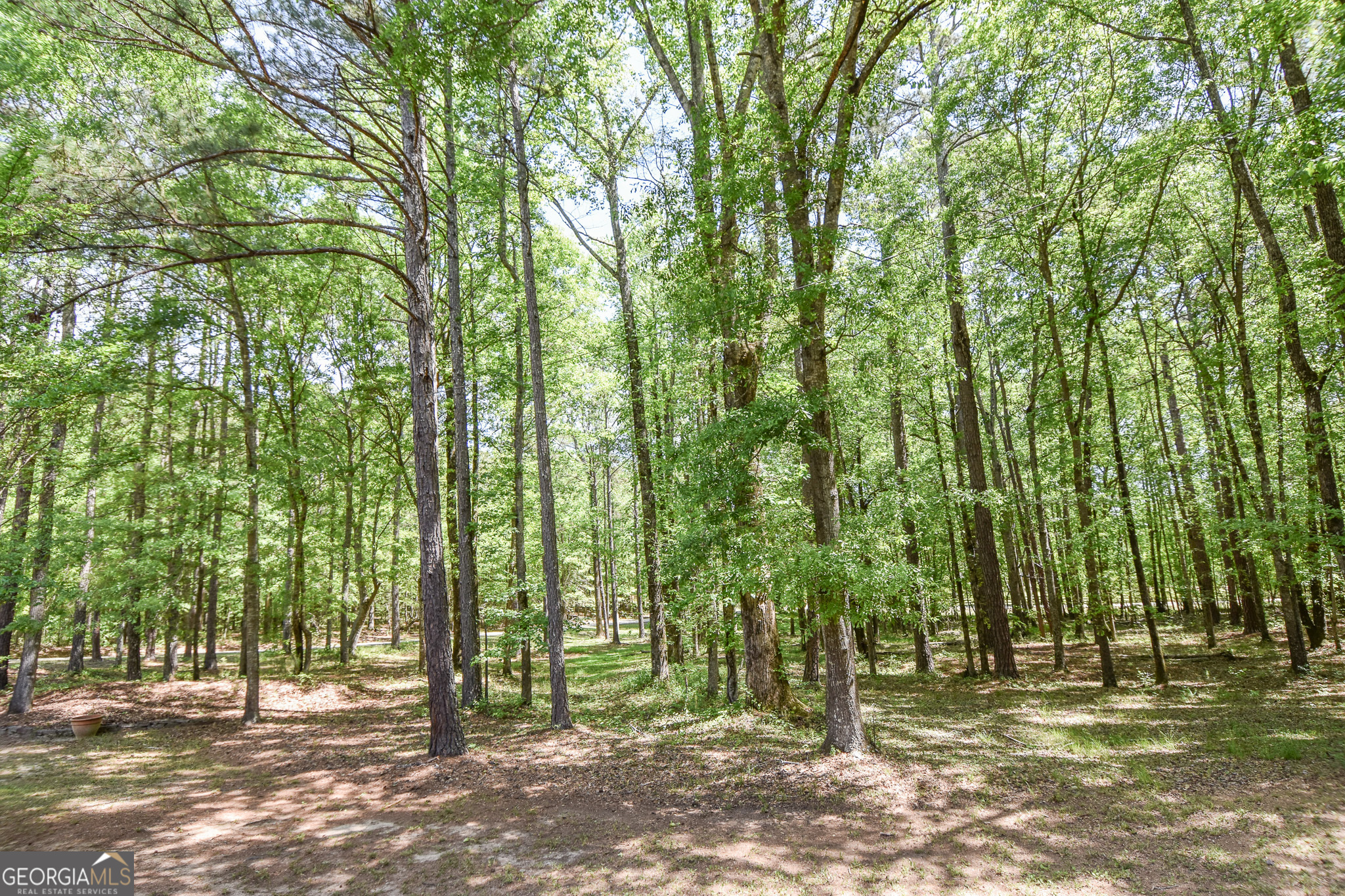 75 Katies Court Meansville GA 30256