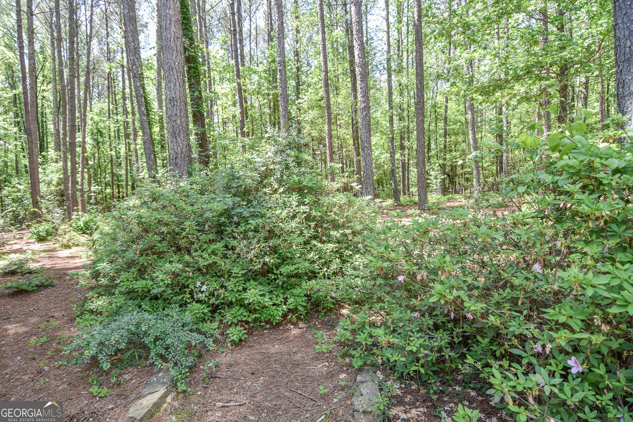 75 Katies Court Meansville GA 30256