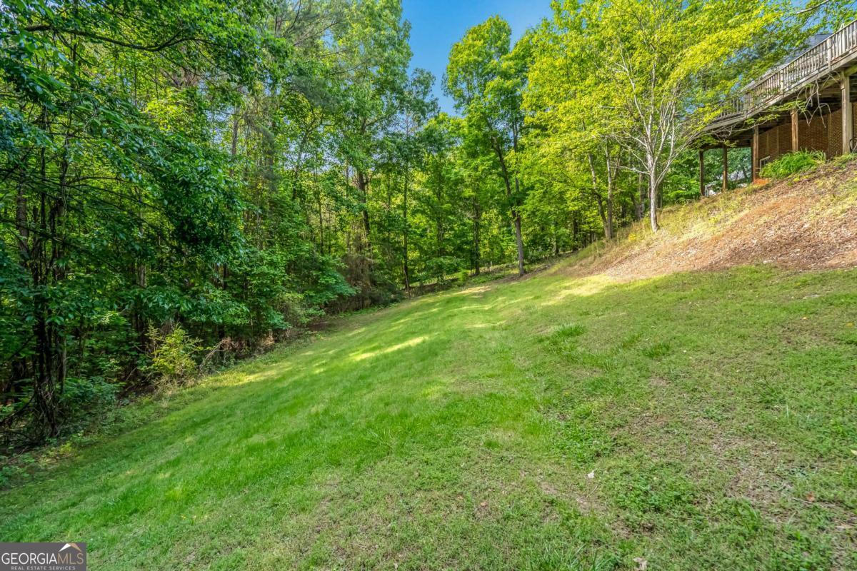 411 Overlook Way Cohutta GA 30710