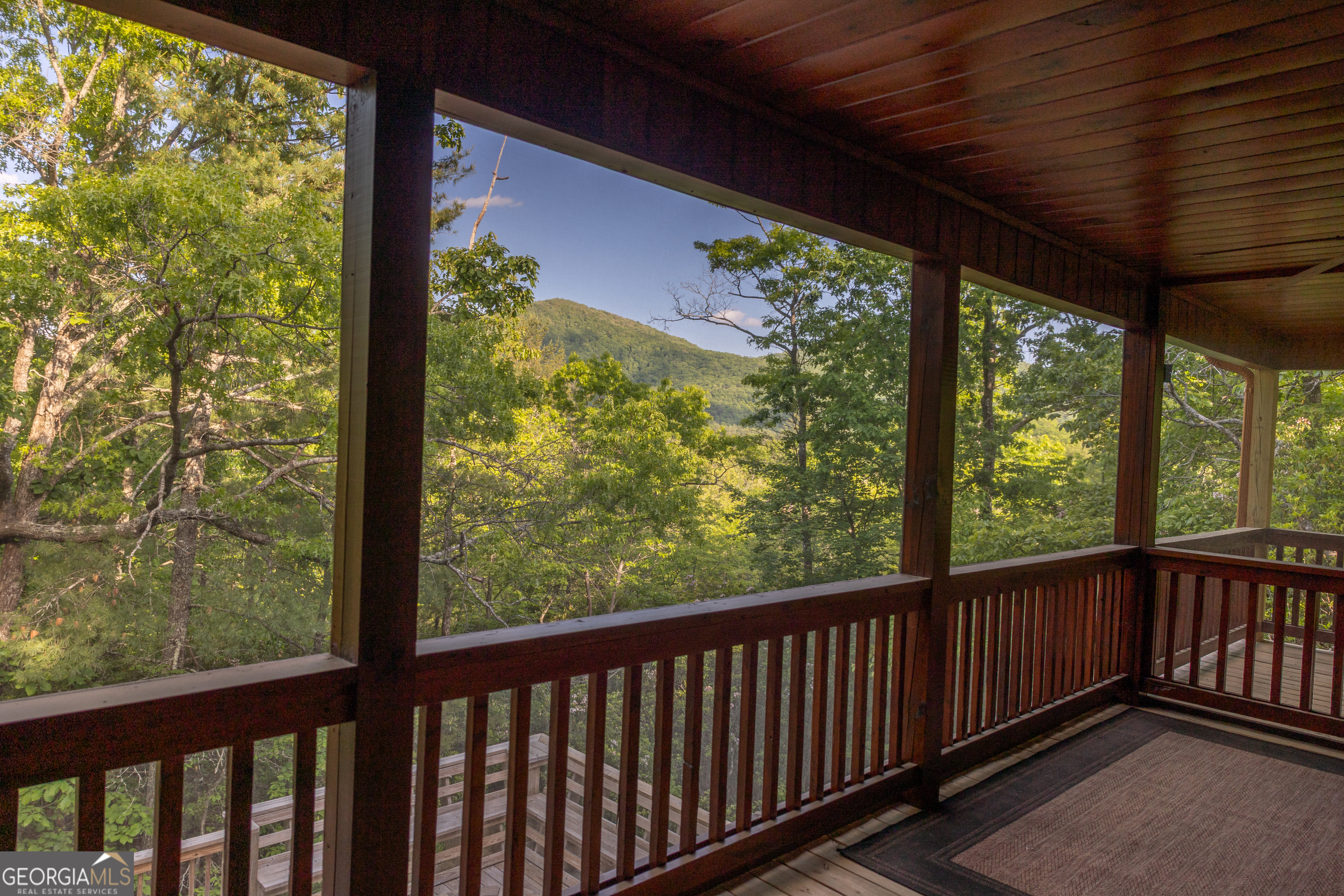 351 John Dick Overlook Blue Ridge GA 30513