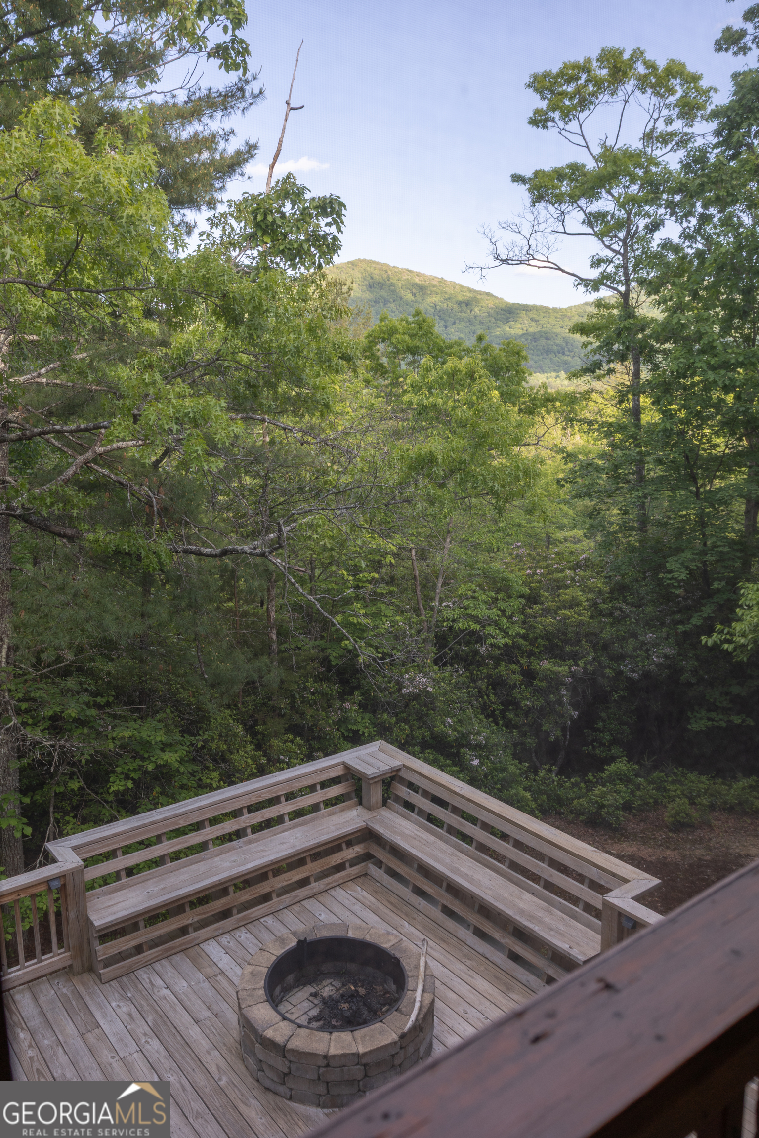 351 John Dick Overlook Blue Ridge GA 30513