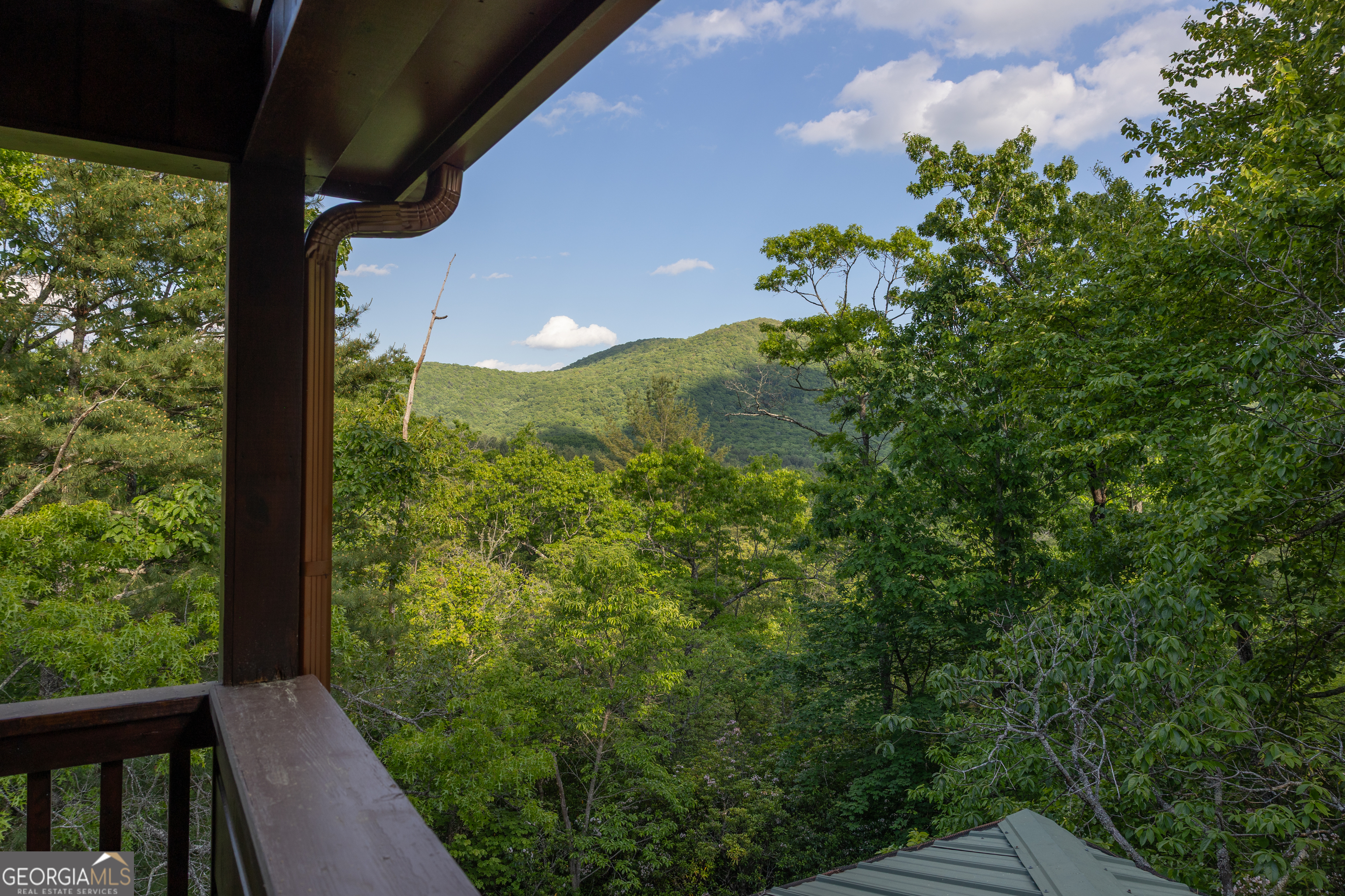 351 John Dick Overlook Blue Ridge GA 30513