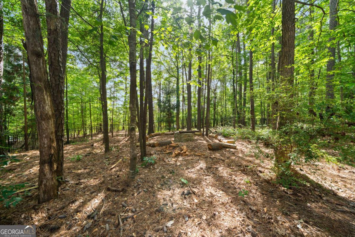 1406 Creston Hill Peachtree City GA 30269