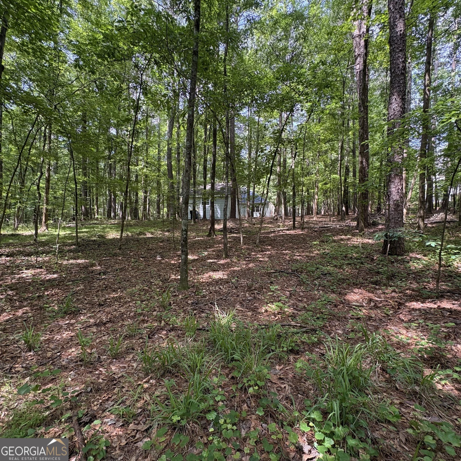 190 Rockington Drive Tyrone GA 30290