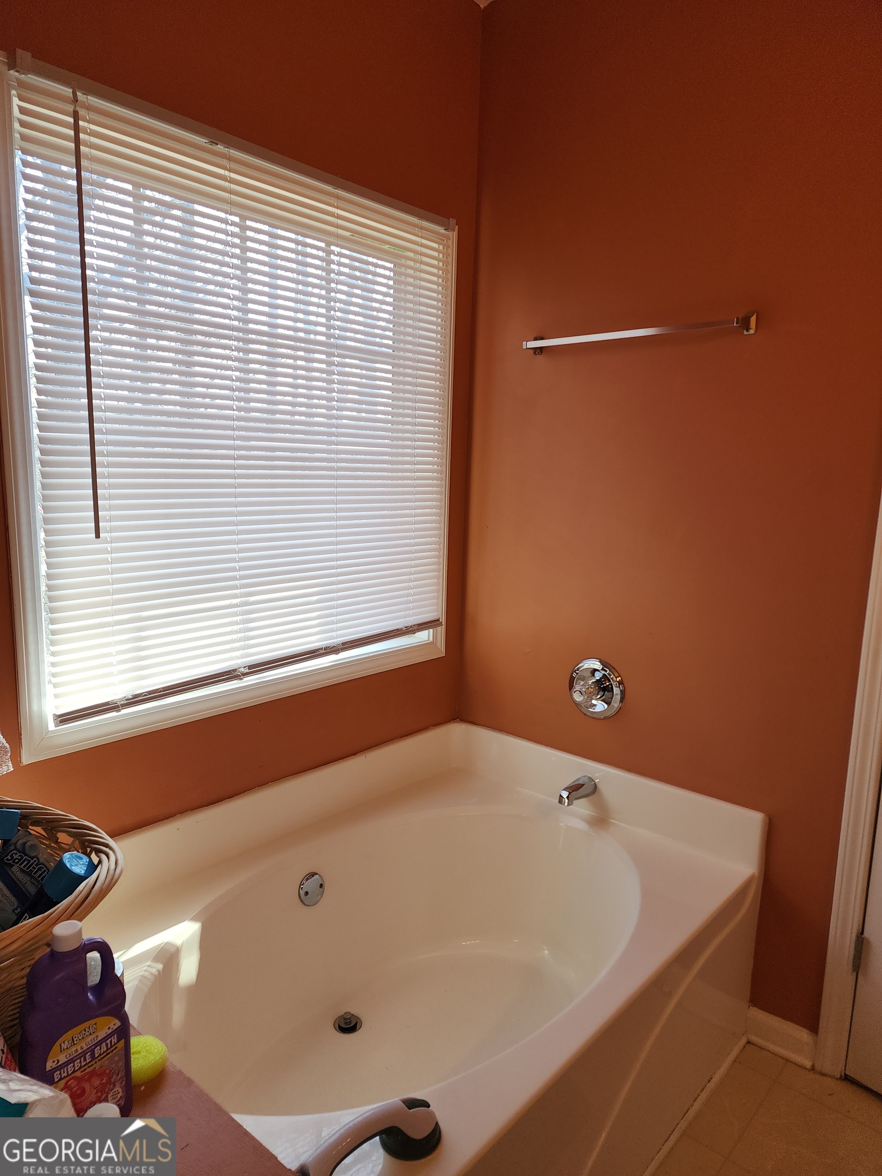 4584 Browns Mill Close Lithonia GA 30038