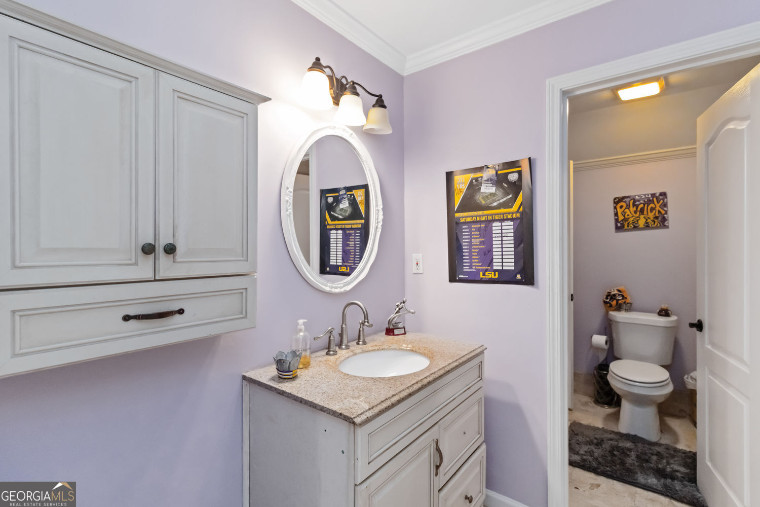 3243 Chipping Wood Court Alpharetta GA 30004