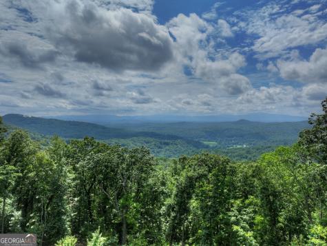 401 Kittatinny Drive Mineral Bluff GA 30559