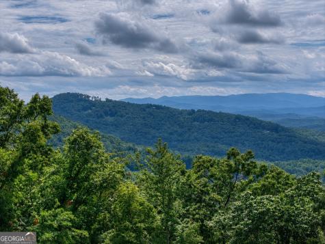 401 Kittatinny Drive Mineral Bluff GA 30559