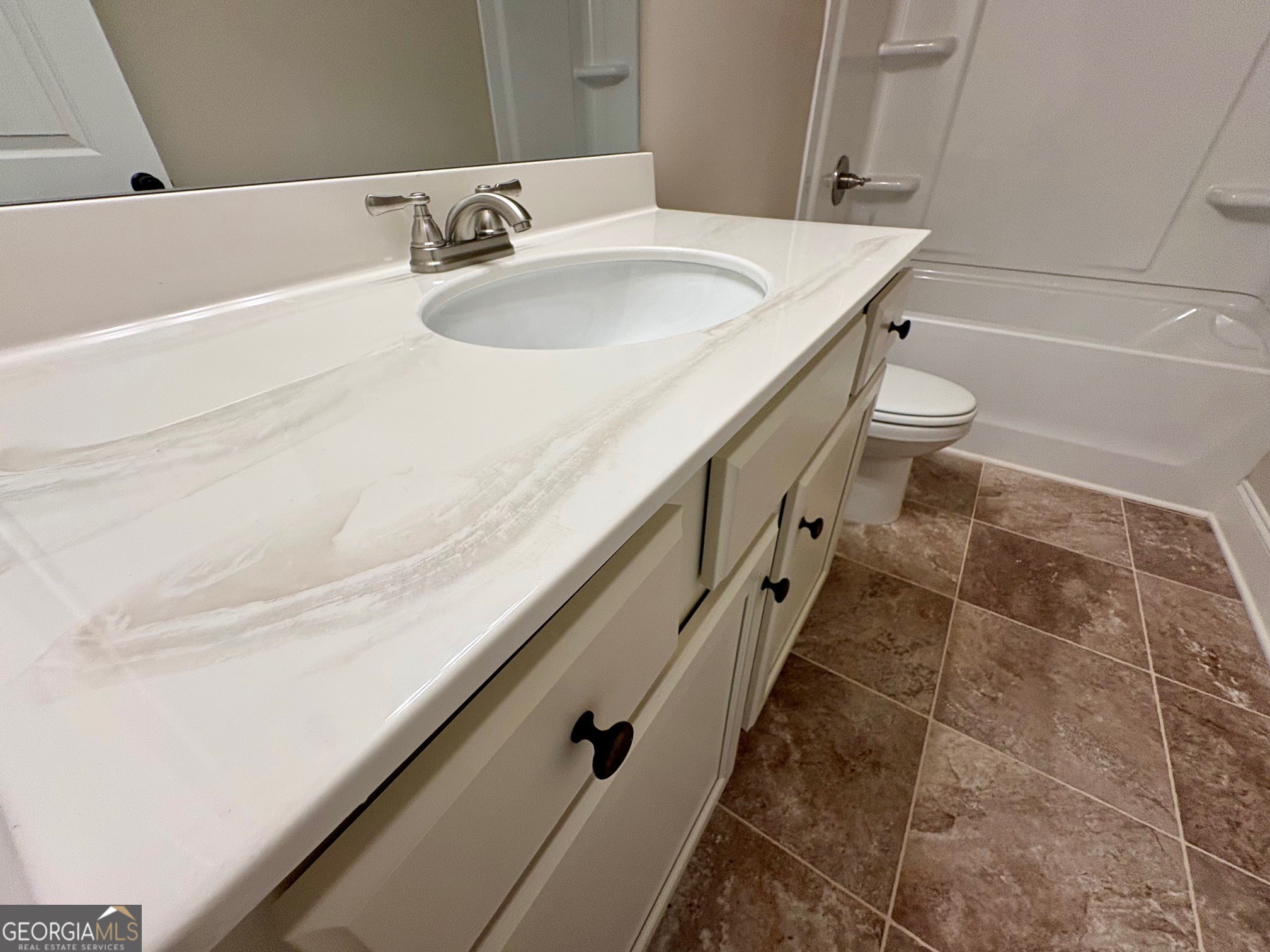 1007 Lakeview Oaks Court Grayson GA 30017