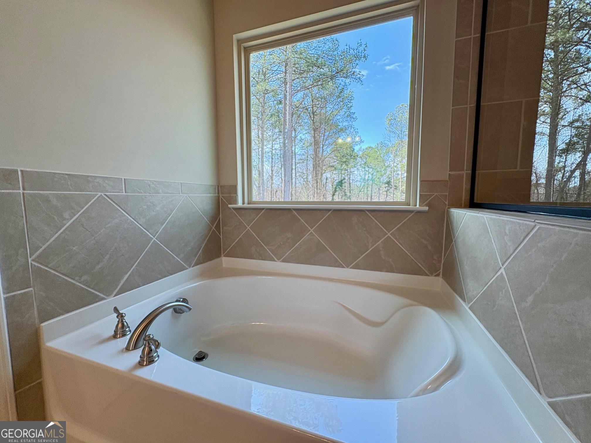 1007 Lakeview Oaks Court Grayson GA 30017