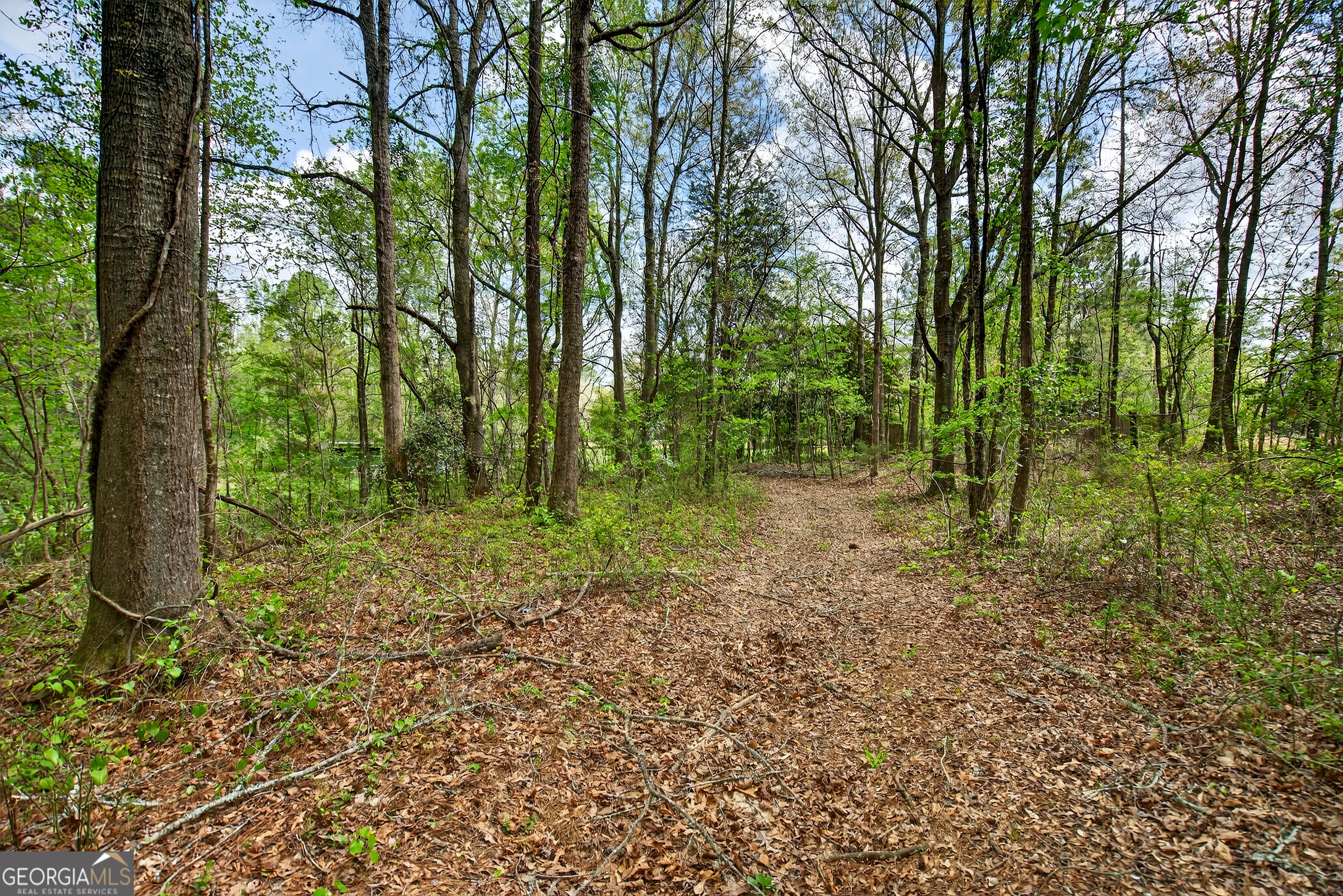 7142 Hamilton Road Pine Mountain GA 31822