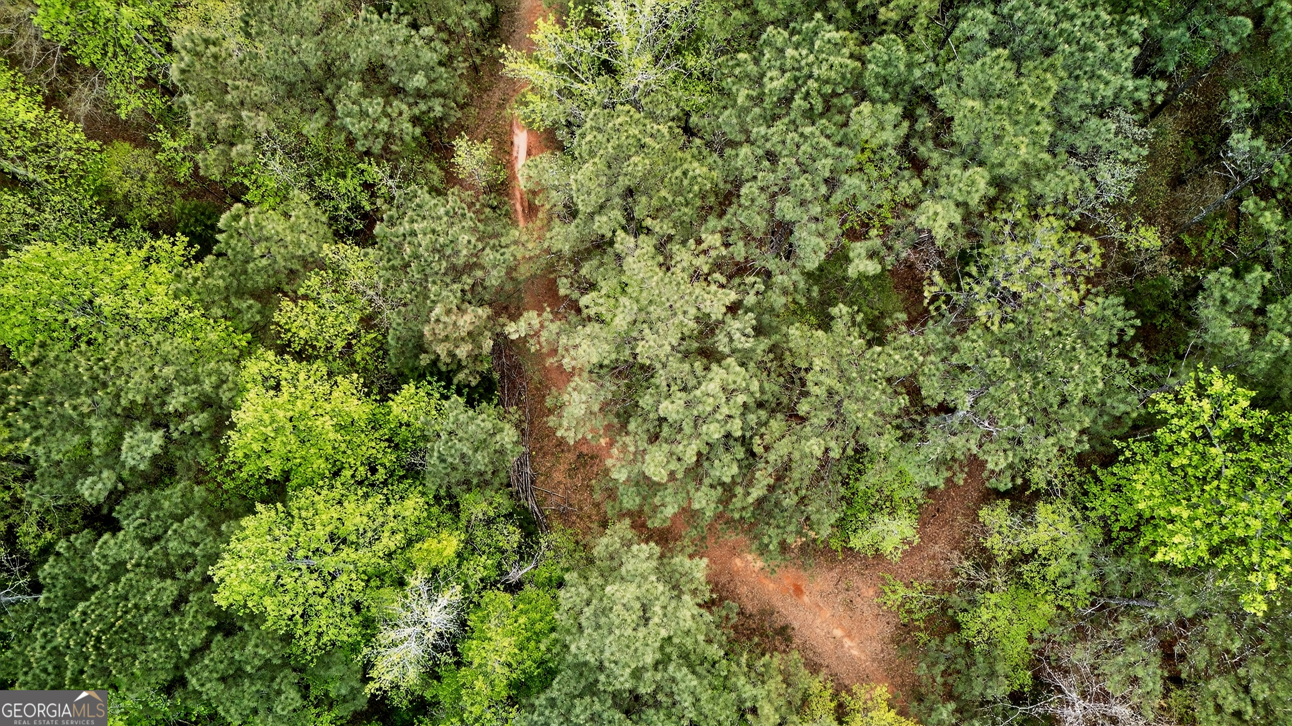 7142 Hamilton Road Pine Mountain GA 31822