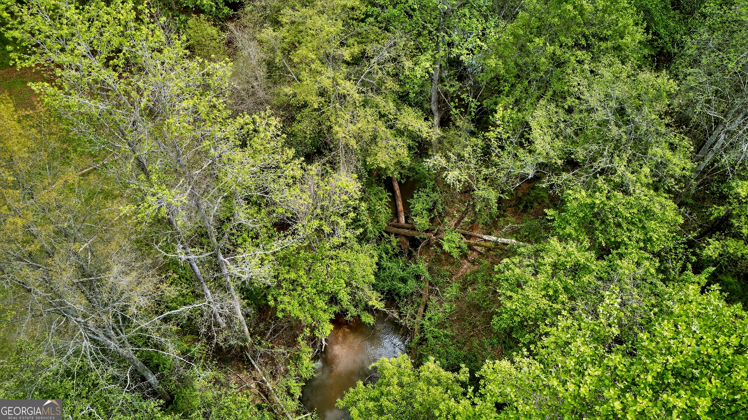 7142 Hamilton Road Pine Mountain GA 31822