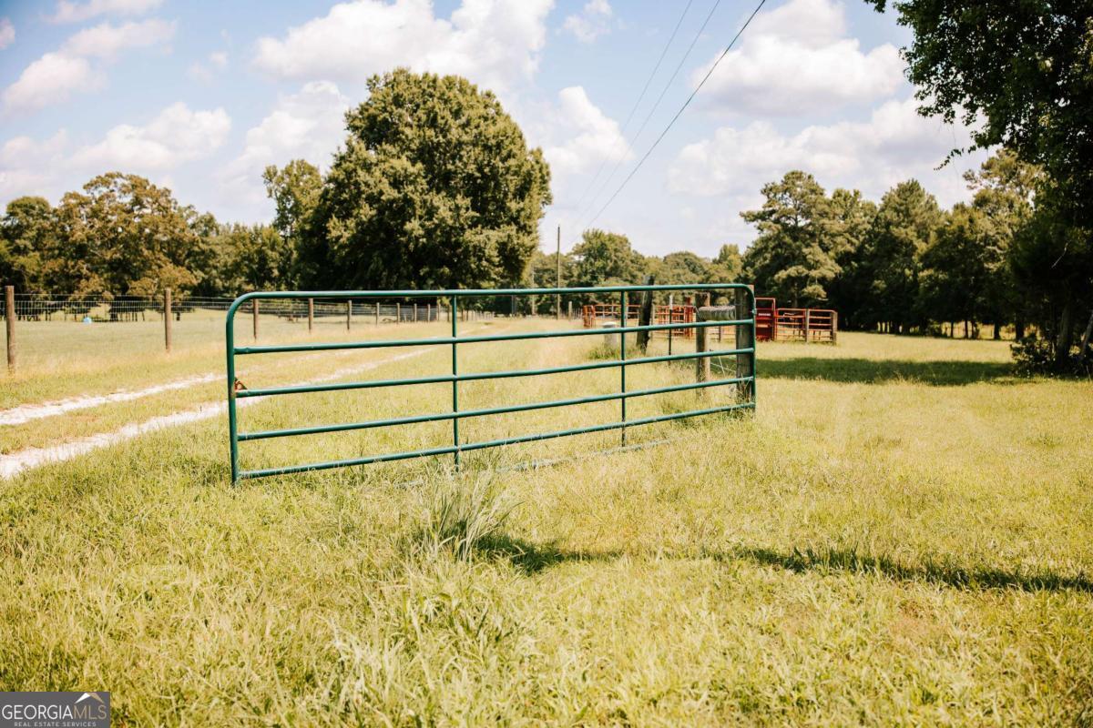 6 Burt Road Carlton GA 30627