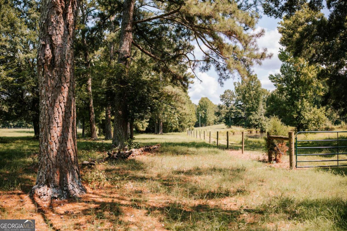 6 Burt Road Carlton GA 30627