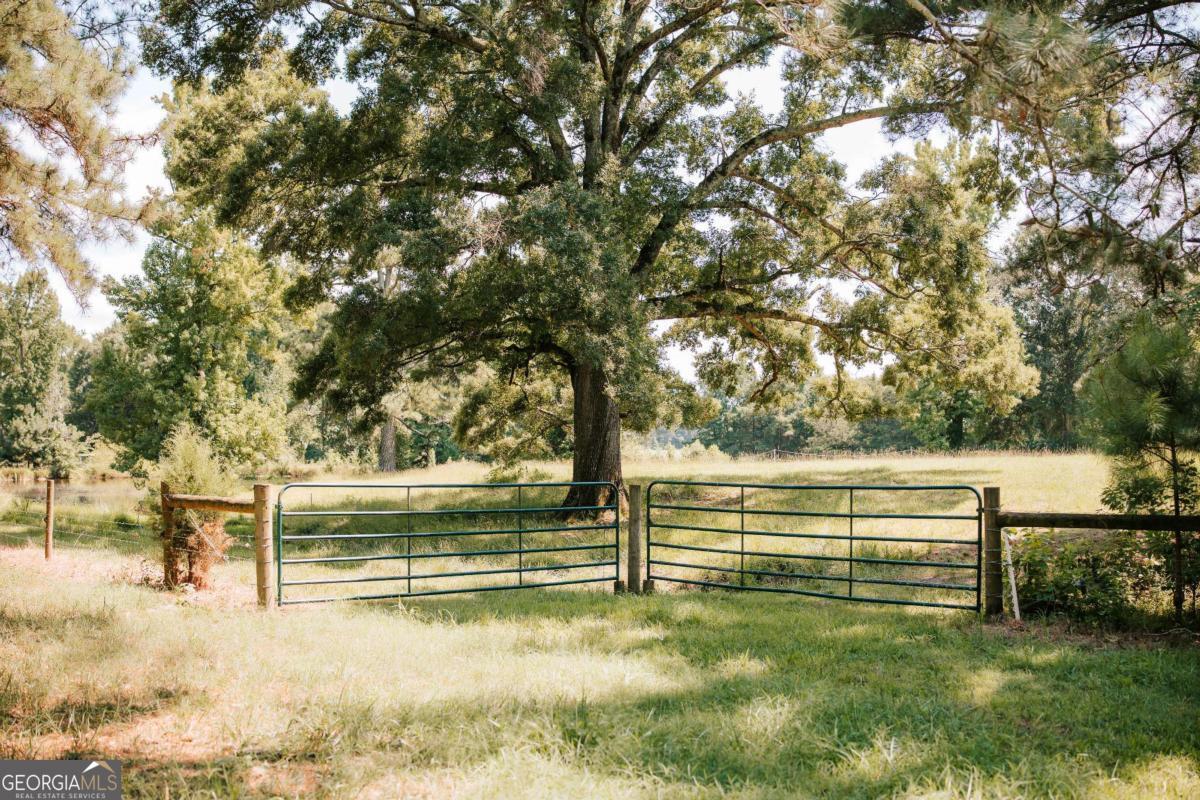 6 Burt Road Carlton GA 30627