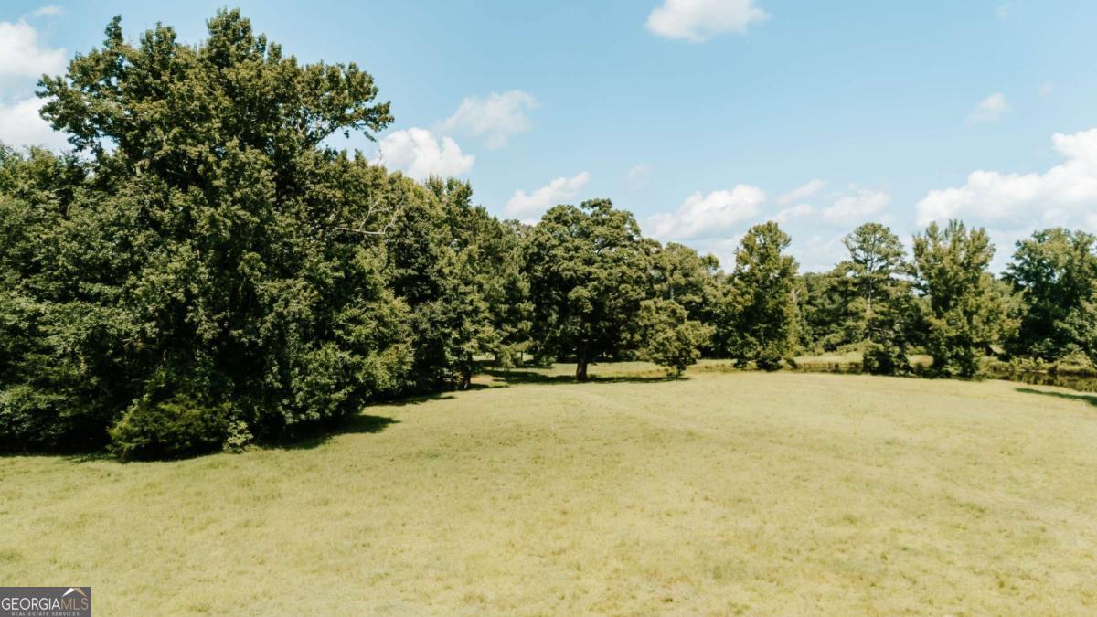 6 Burt Road Carlton GA 30627