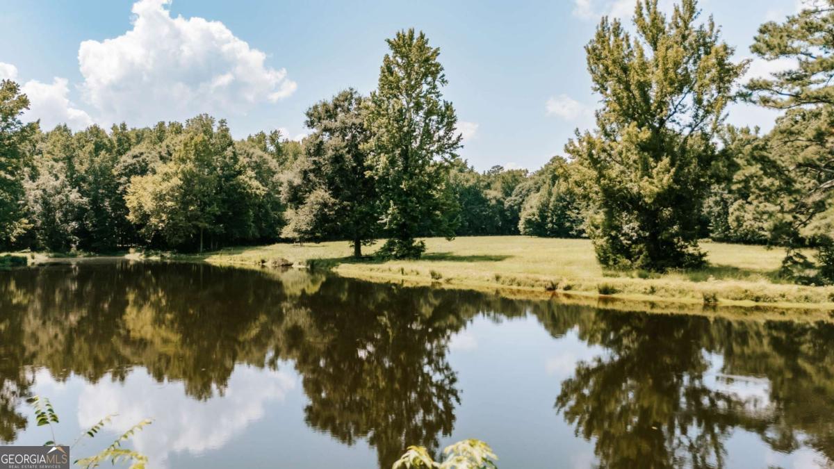6 Burt Road Carlton GA 30627