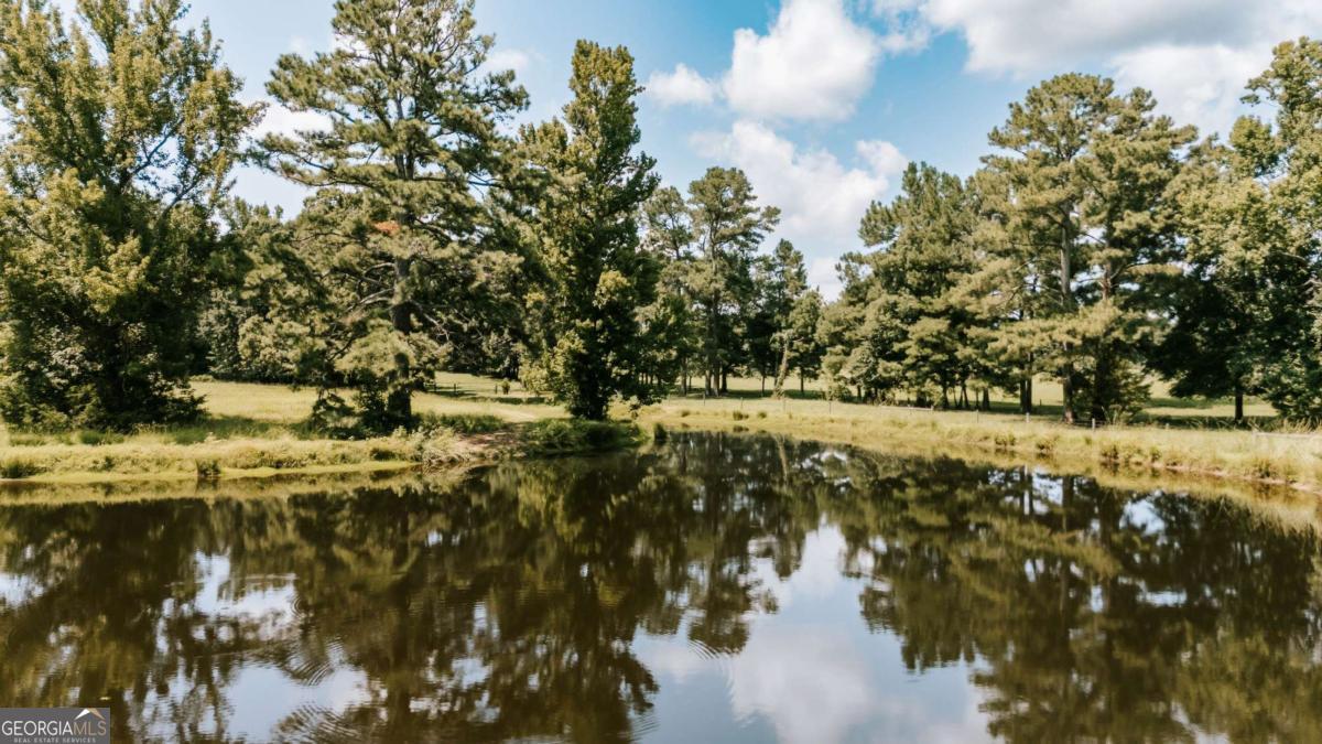 6 Burt Road Carlton GA 30627
