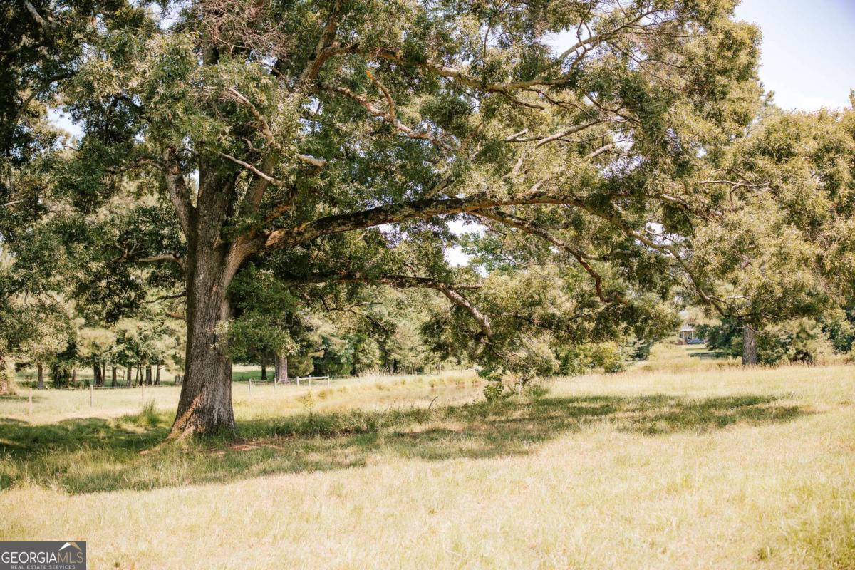 6 Burt Road Carlton GA 30627