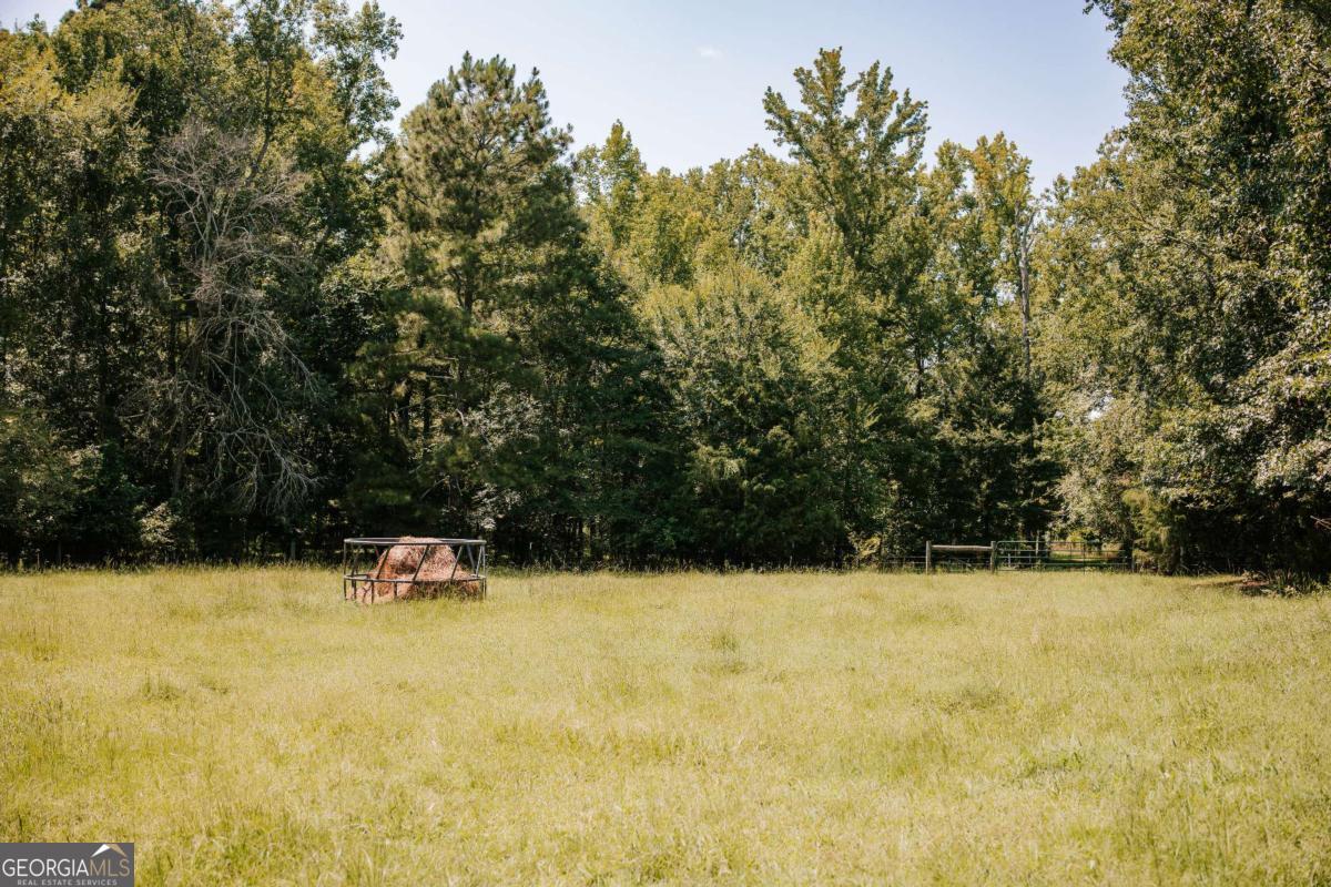 6 Burt Road Carlton GA 30627