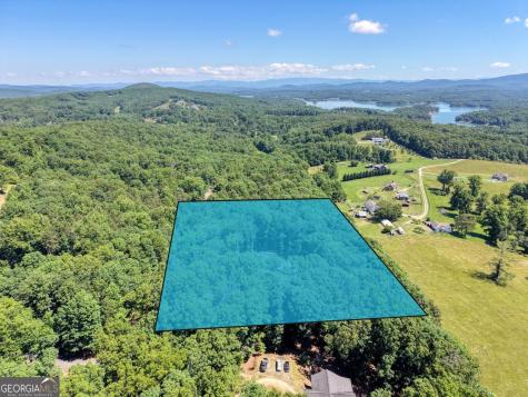 392 Mustang Trail Blairsville GA 30512