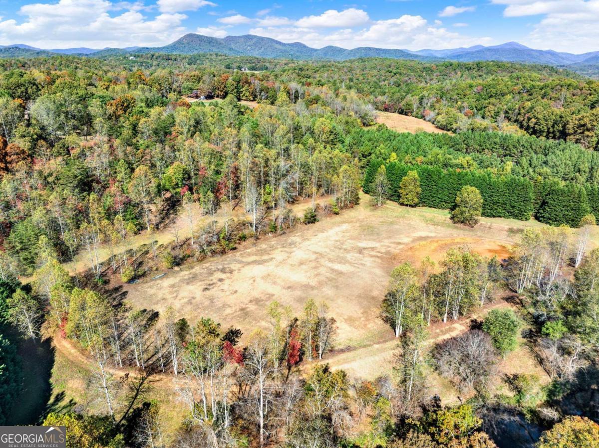 134 Elkmont Drive Dahlonega GA 30533