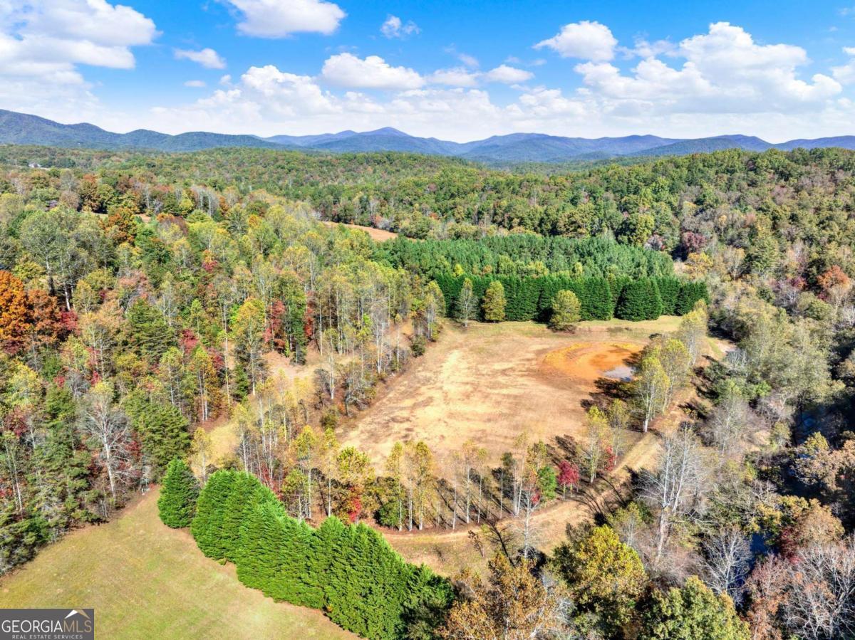 134 Elkmont Drive Dahlonega GA 30533