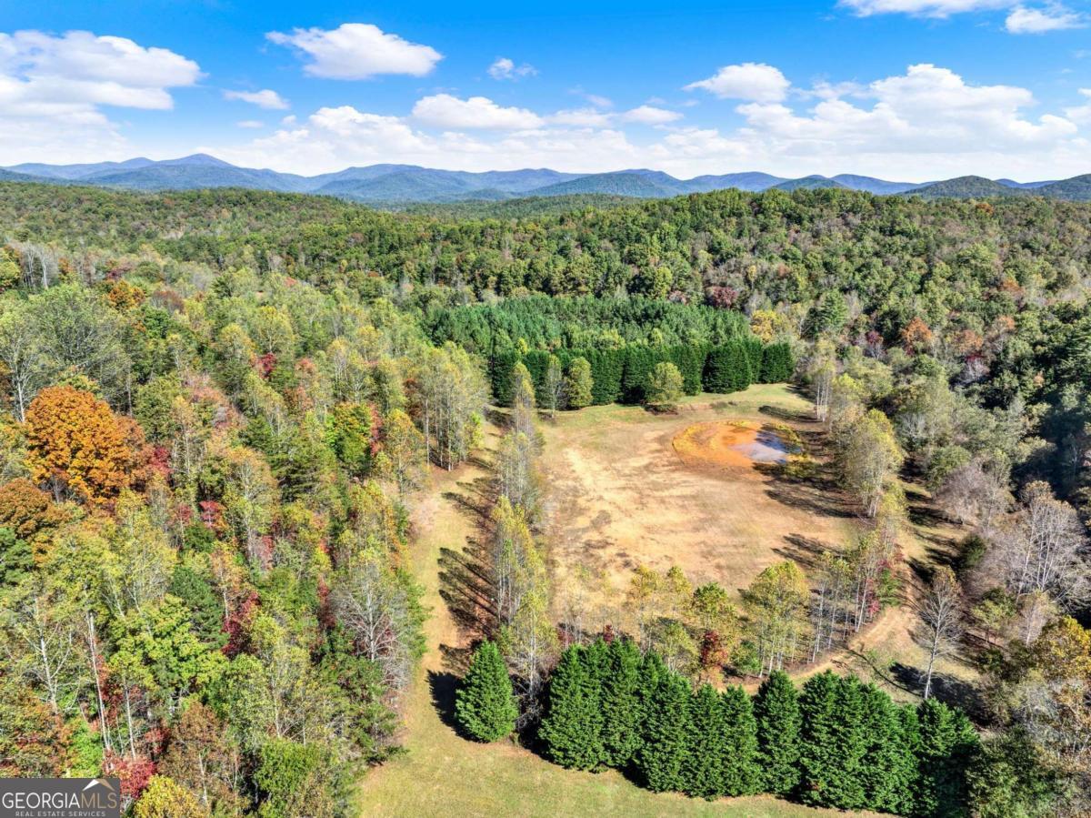 134 Elkmont Drive Dahlonega GA 30533