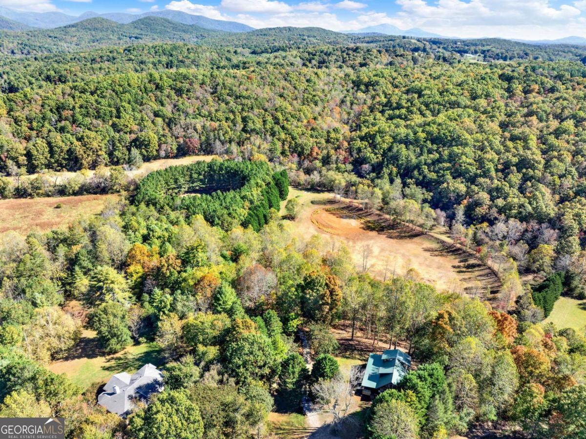 134 Elkmont Drive Dahlonega GA 30533