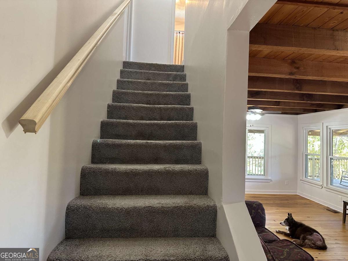 134 Elkmont Drive Dahlonega GA 30533