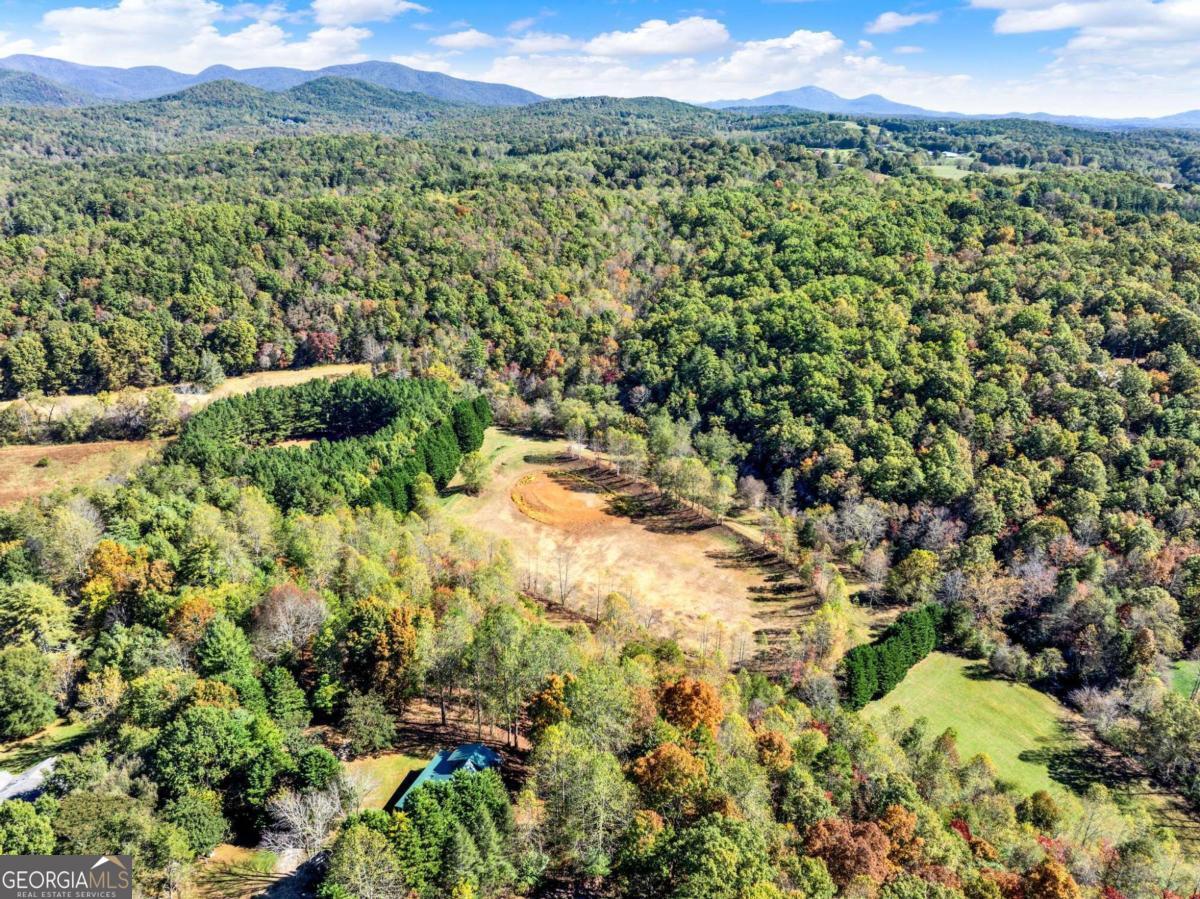 134 Elkmont Drive Dahlonega GA 30533
