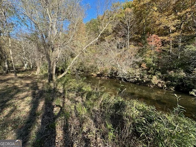 134 Elkmont Drive Dahlonega GA 30533