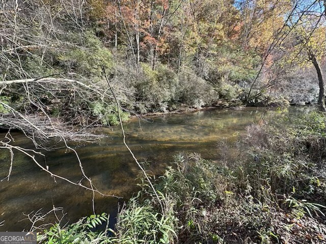 134 Elkmont Drive Dahlonega GA 30533
