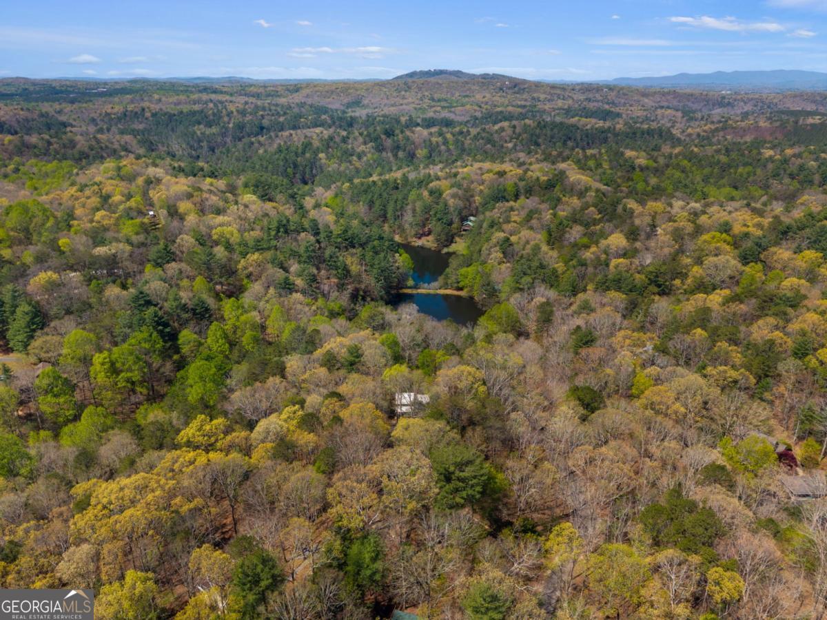 152 Misty Hollow Ridge Ellijay GA 30536