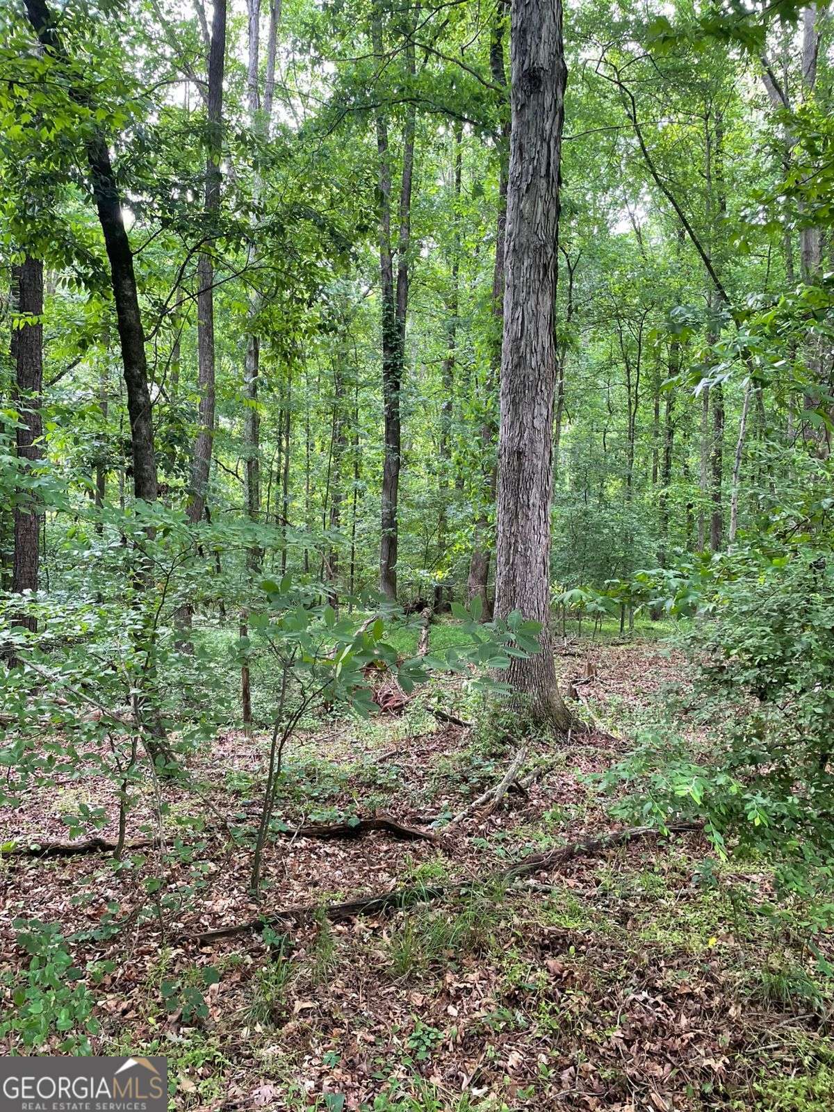 906 Jefferson River Road Jefferson GA 30549