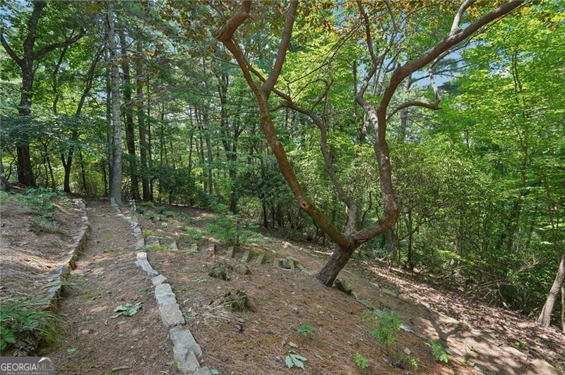 44 Sassafras Ridge Big Canoe GA 30143
