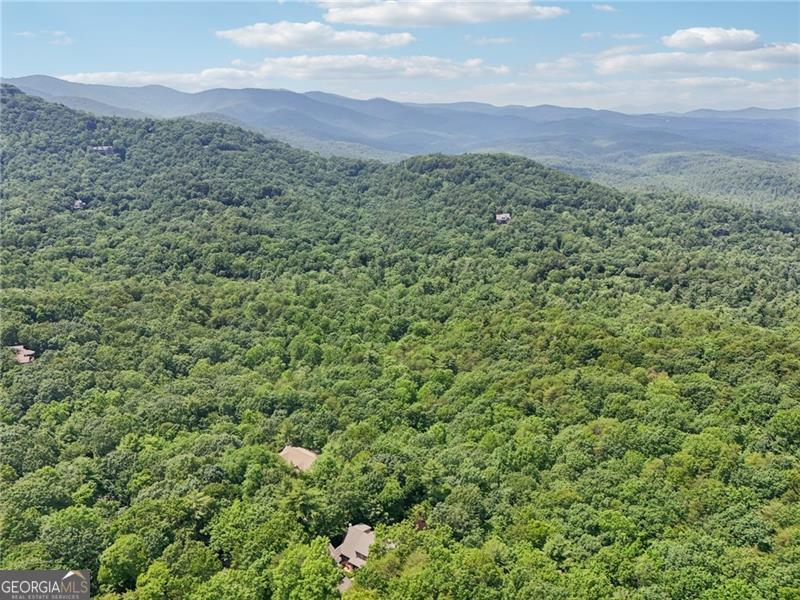 44 Sassafras Ridge Big Canoe GA 30143