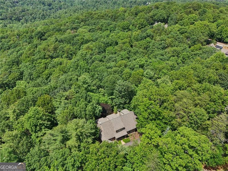 44 Sassafras Ridge Big Canoe GA 30143