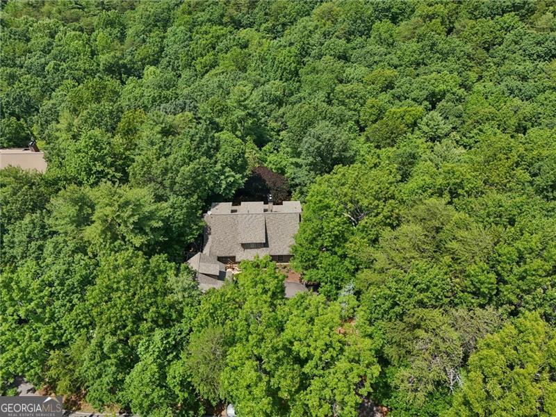 44 Sassafras Ridge Big Canoe GA 30143