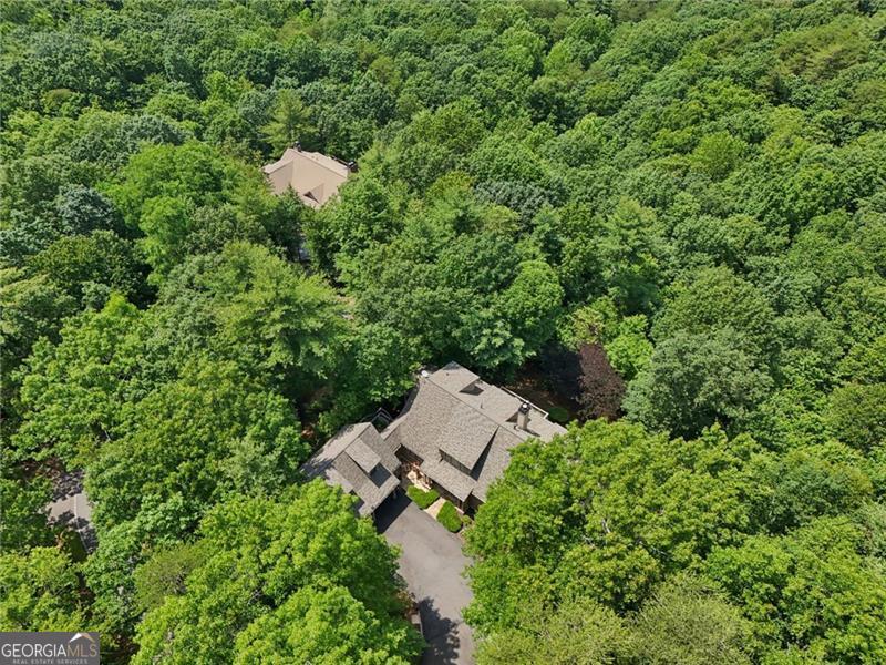 44 Sassafras Ridge Big Canoe GA 30143