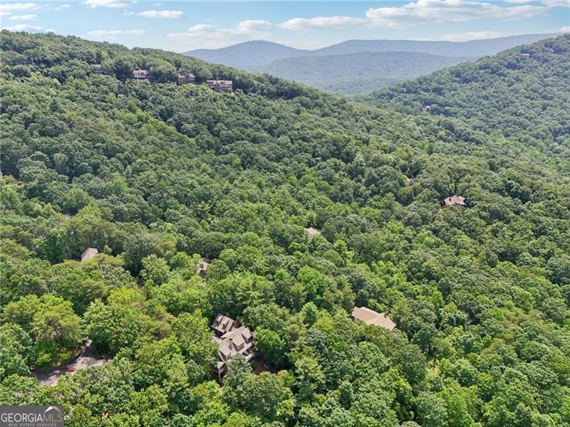 44 Sassafras Ridge Big Canoe GA 30143